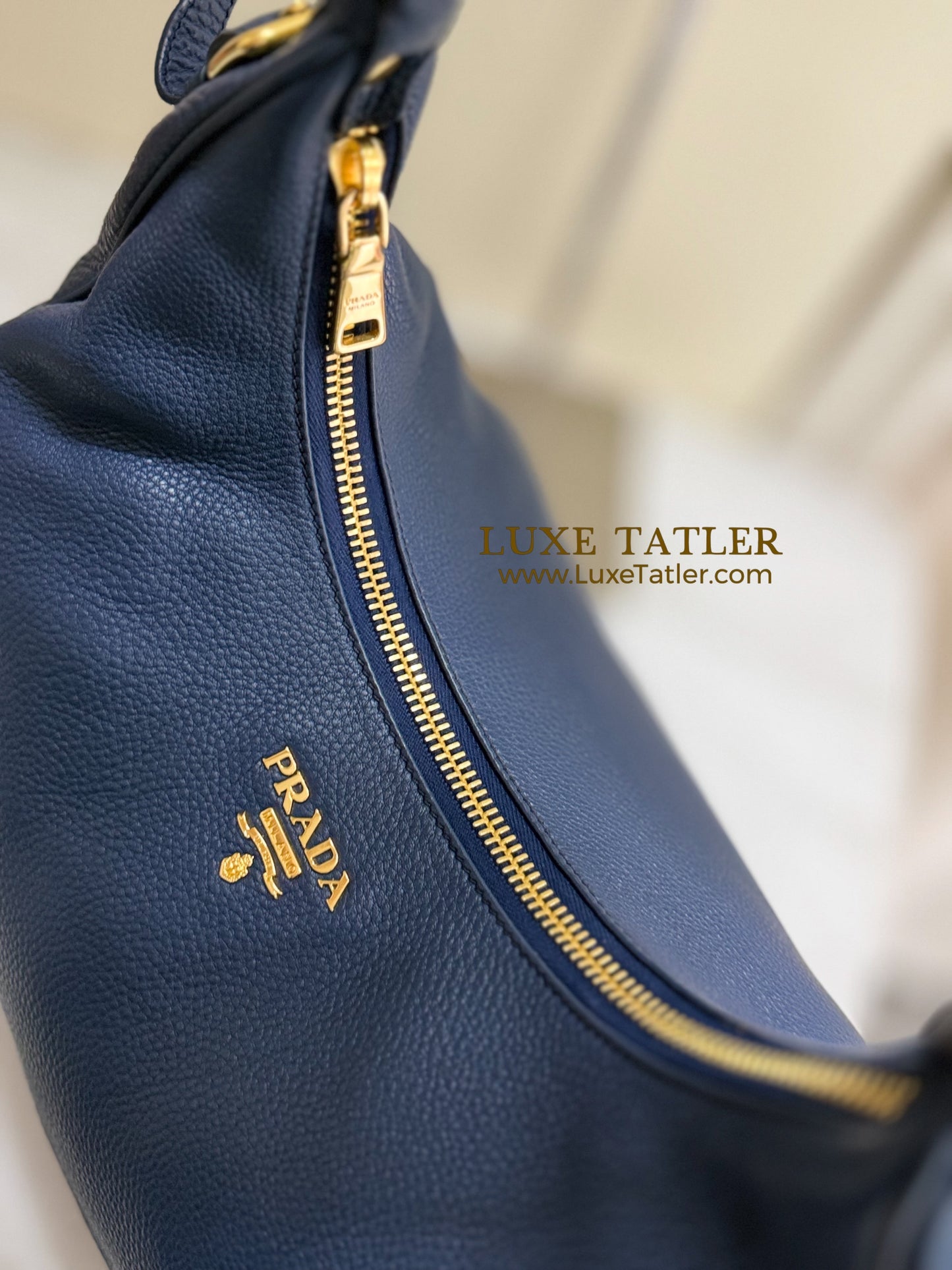 Prada Vitello Daino Hobo Shoulder Bag