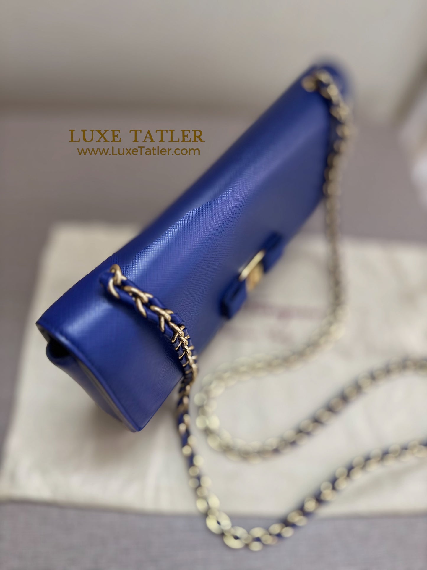 Salvatore Ferragamo Vara Bow Bag