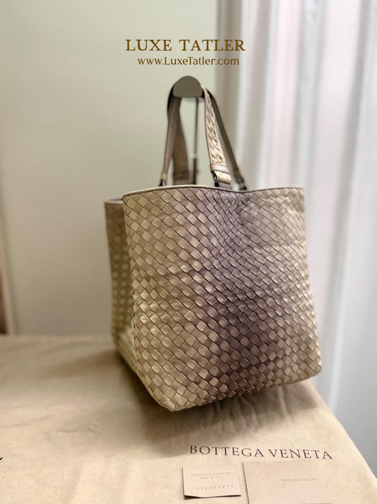 Bottega Veneta Intrecciato Ombre Tote (Cream)