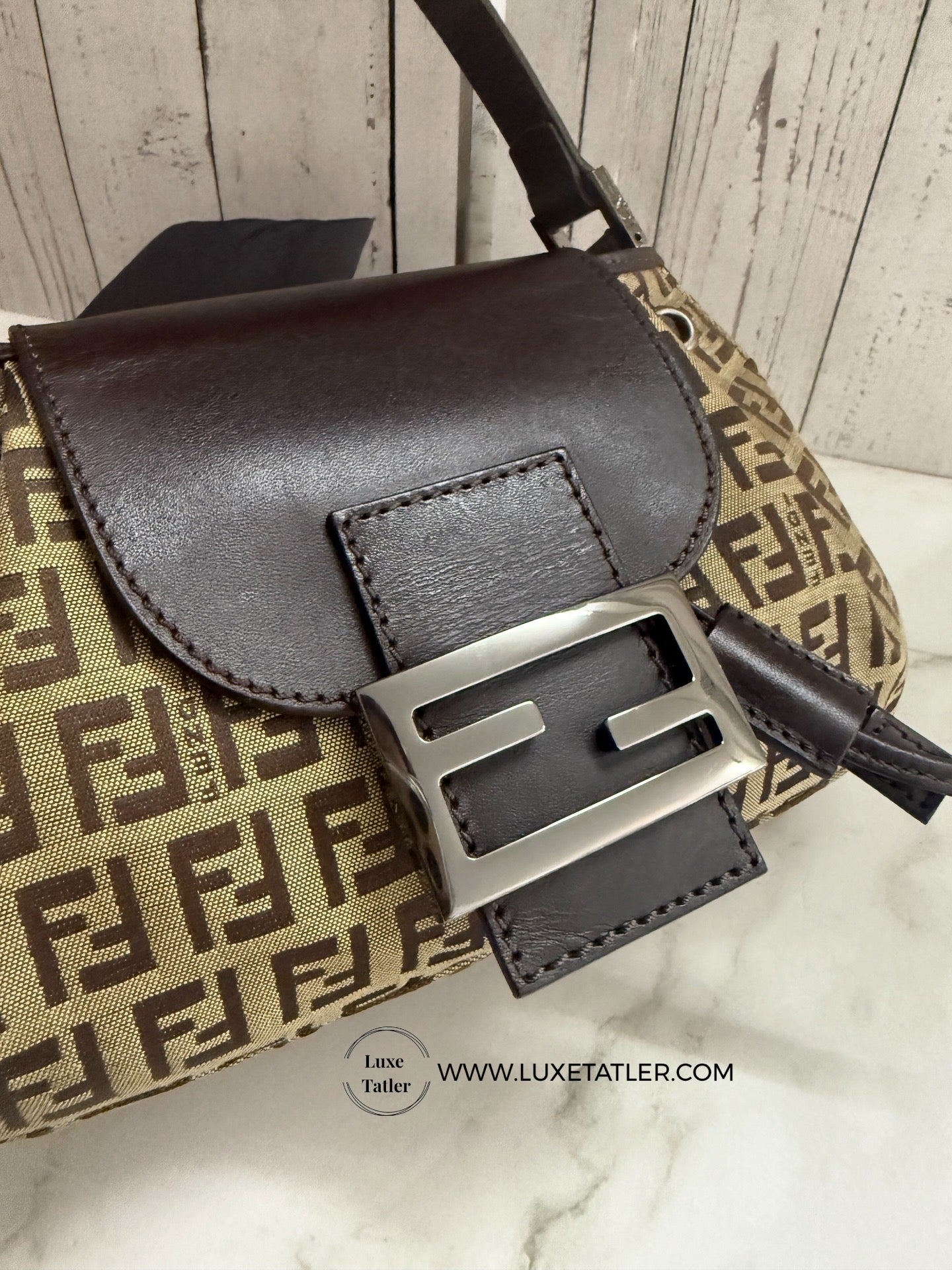 Fendi Zucca Canvas Bag