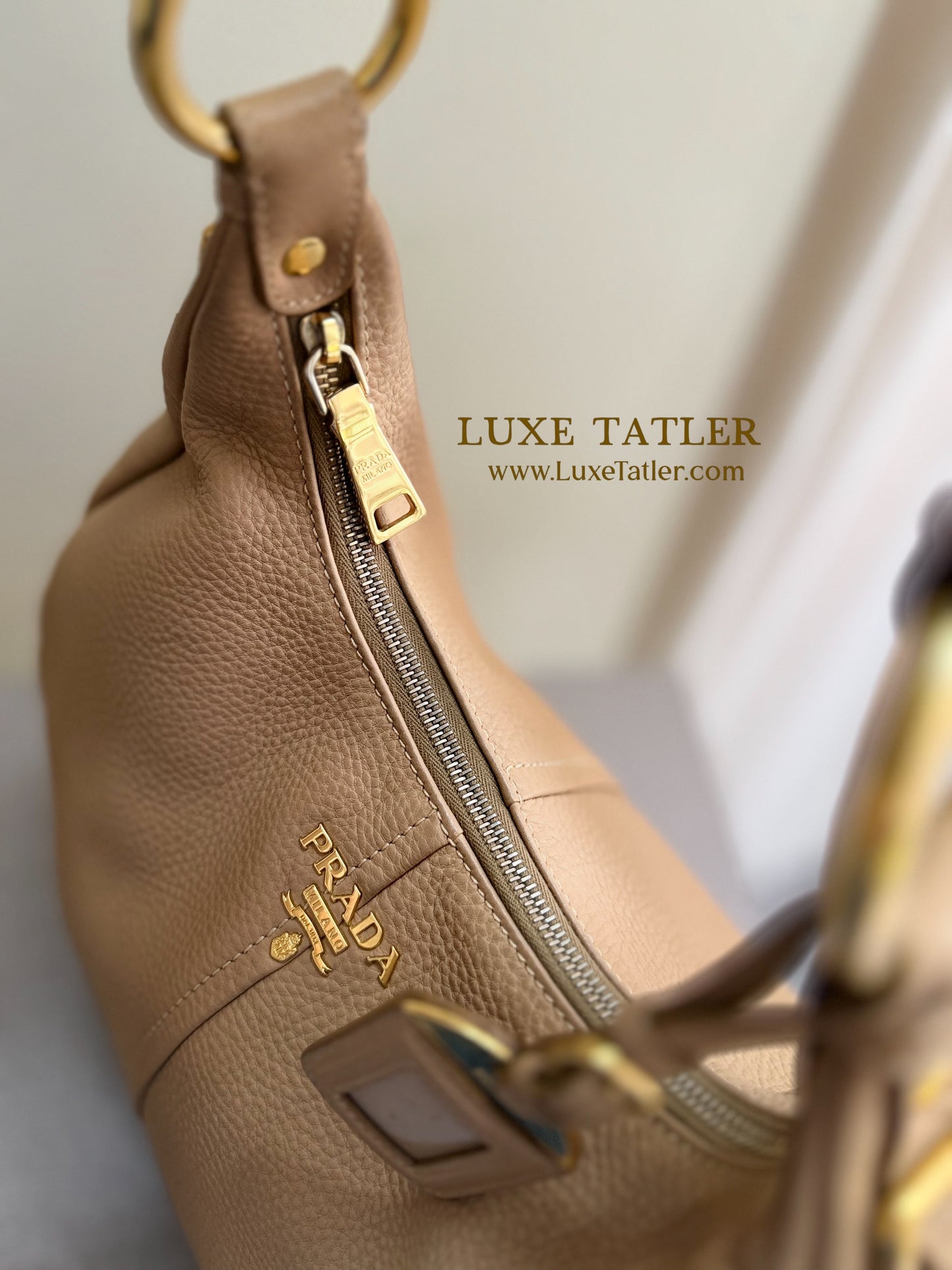 Prada Vitello Daino Hobo Bag