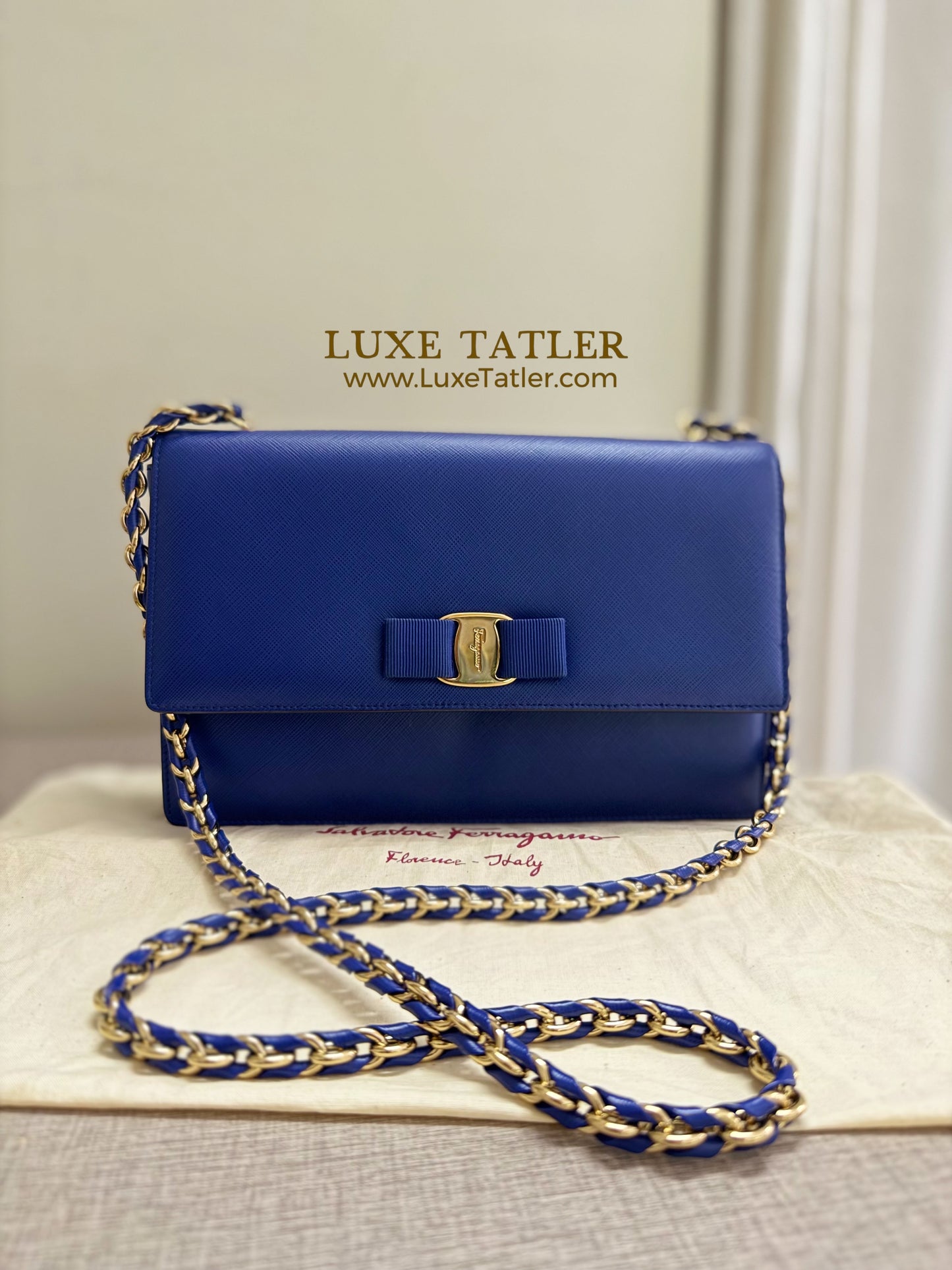 Salvatore Ferragamo Vara Bow Bag