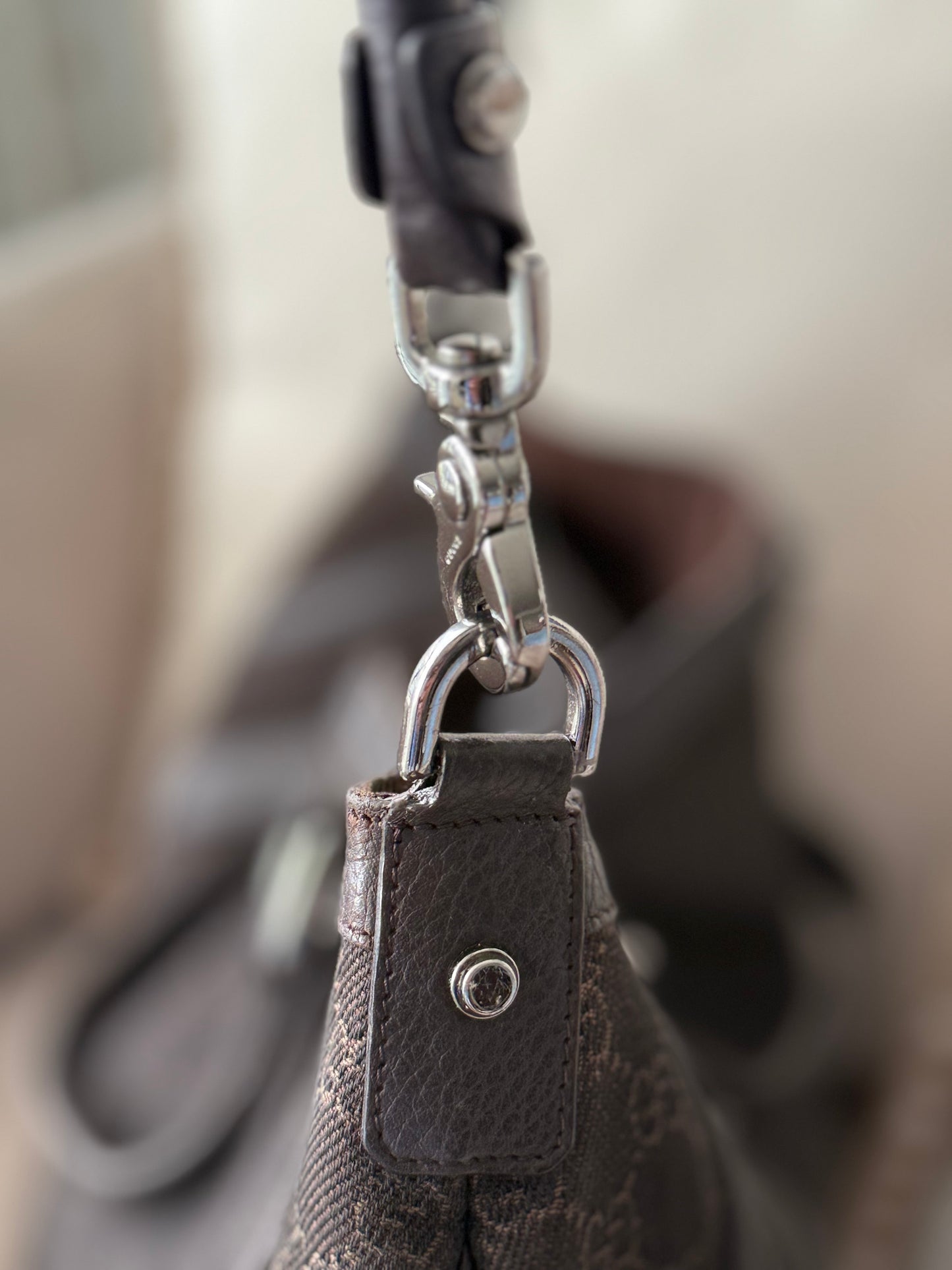 Gucci Monogram Canvas Bag