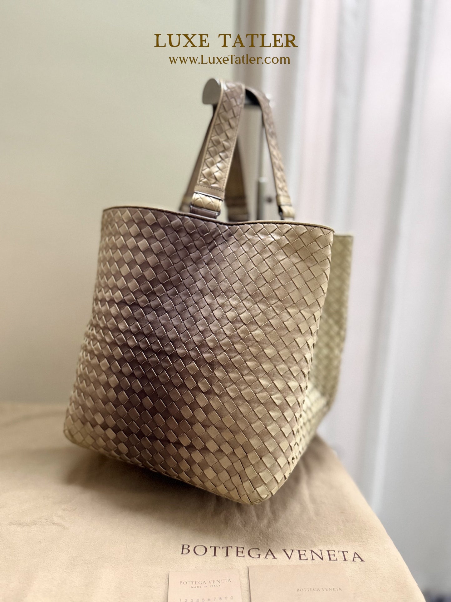 Bottega Veneta Intrecciato Ombre Tote (Cream)