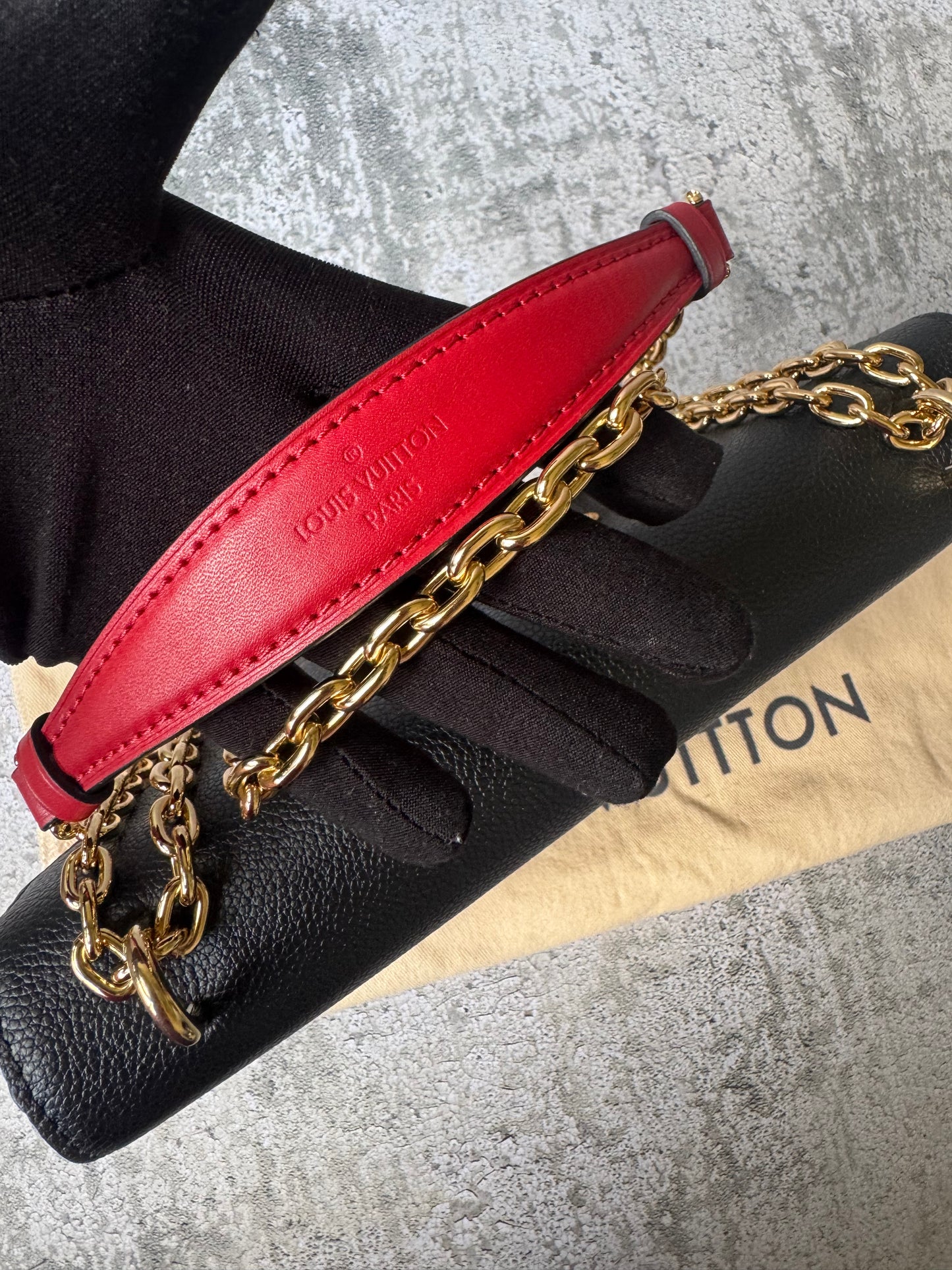 Louis Vuitton Monogram Sac Placide Bag